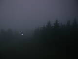 21 : 24