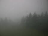 06 : 44