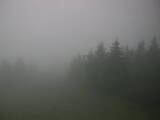 07 : 36