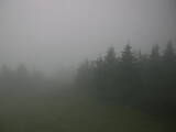 07 : 44