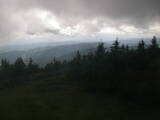 17 : 20