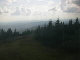17 : 20