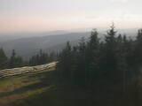 19 : 44