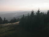 19 : 48