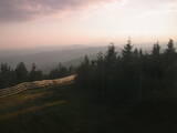 20 : 08