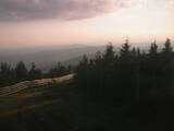 20 : 12