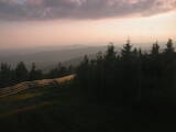 20 : 16