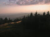 20 : 20
