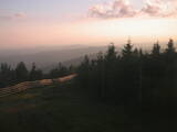 20 : 24