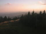 20 : 28