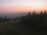 20 : 40