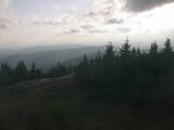 19 : 20