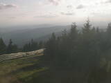 19 : 24