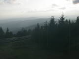 19 : 28