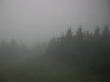 06 : 04