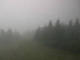 14 : 48