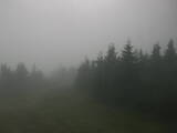 15 : 08