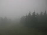 16 : 36