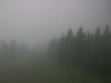17 : 16