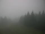 20 : 12