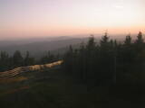 20 : 20