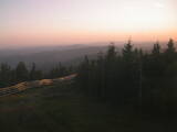 20 : 28