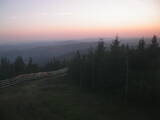 20 : 40