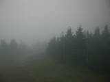 06 : 04