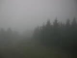 06 : 44