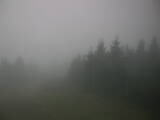 07 : 36