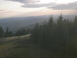 19 : 52