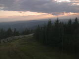 20 : 20