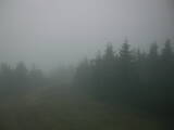 05 : 52