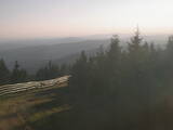 19 : 36