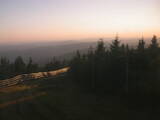 20 : 16