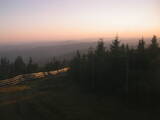 20 : 20