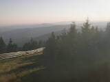 19 : 36