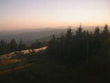 20 : 16
