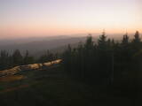 20 : 20