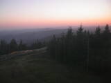 20 : 40