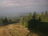 08 : 20