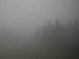 15 : 32