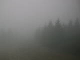16 : 24