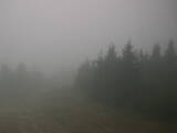 16 : 52