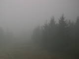 17 : 12