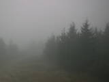 17 : 20