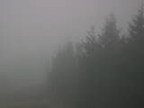 18 : 16
