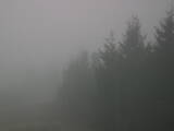 18 : 20