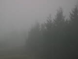 18 : 24