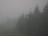 18 : 28